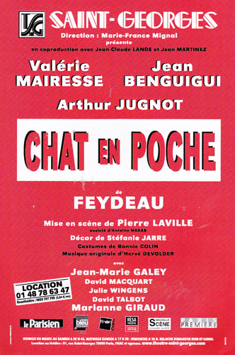 Chat en poche